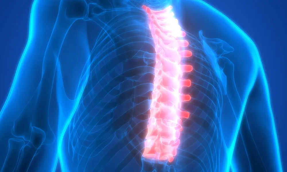 Disc Decompression Therapy for Back Pain Relief