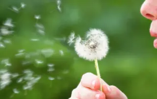 seasonal allergies