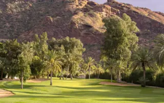 phoenix allergies