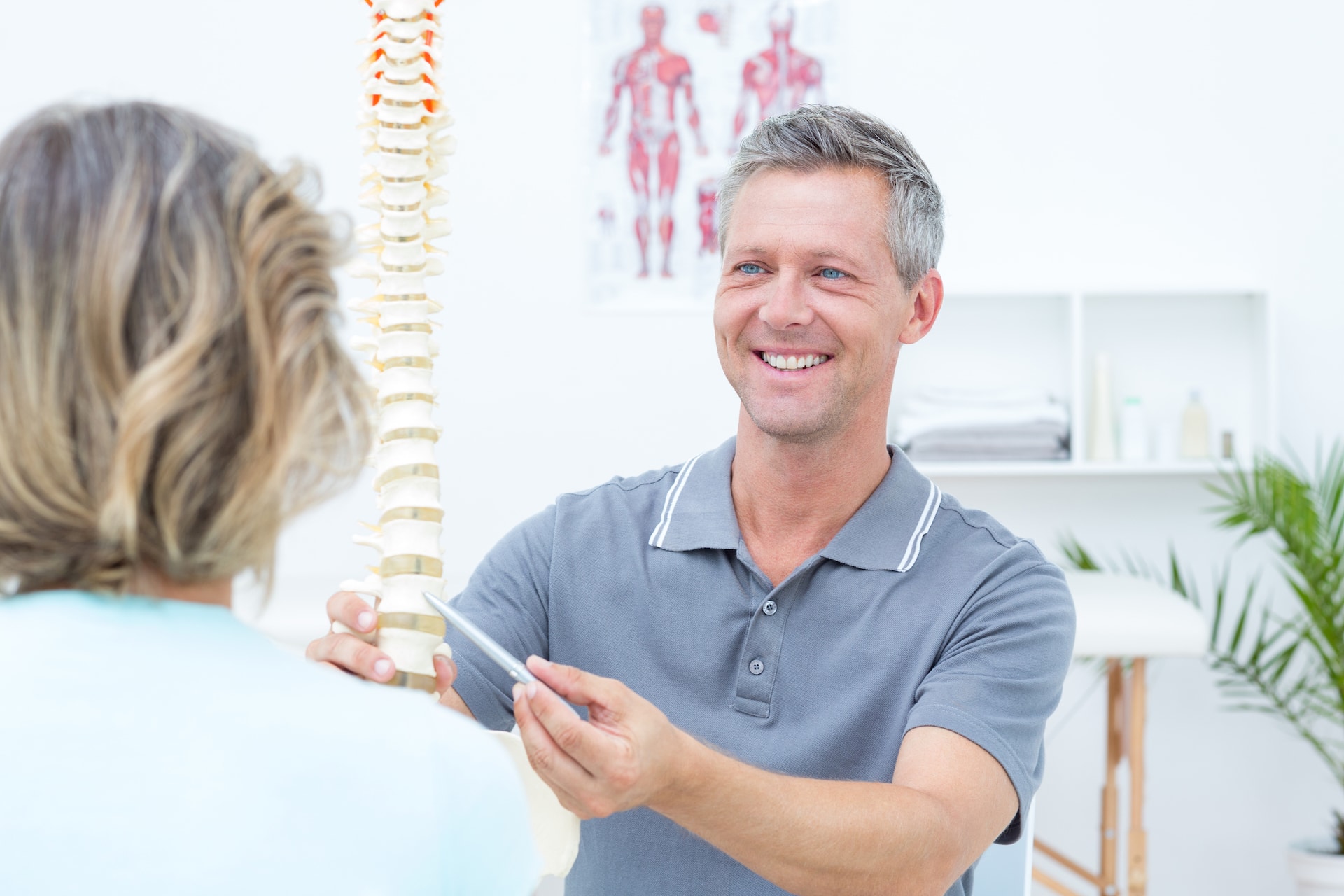 a chiropractor demonstrates a spine during a consultation