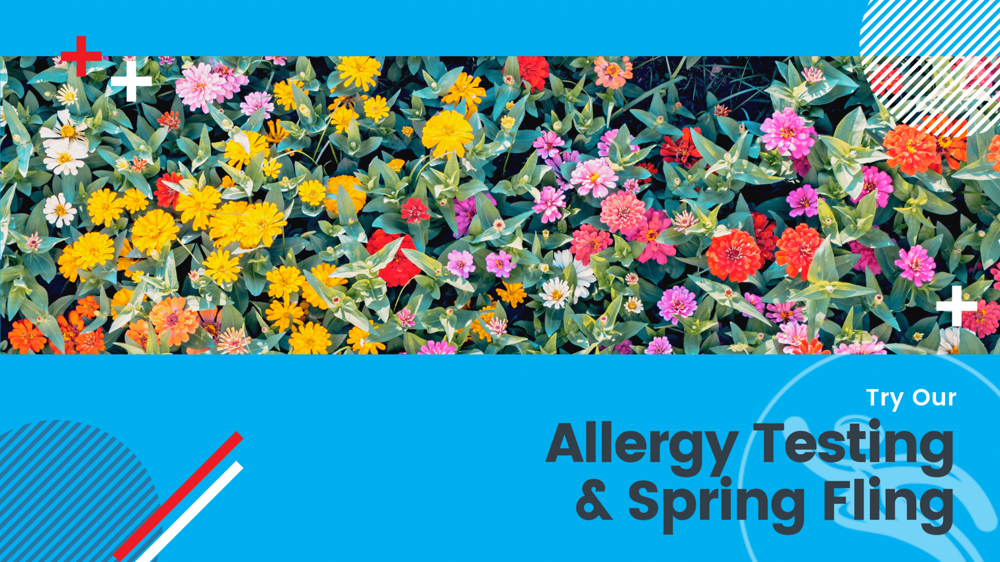 Graphic of flowers for allergy testing and BackFit Spring Fling
