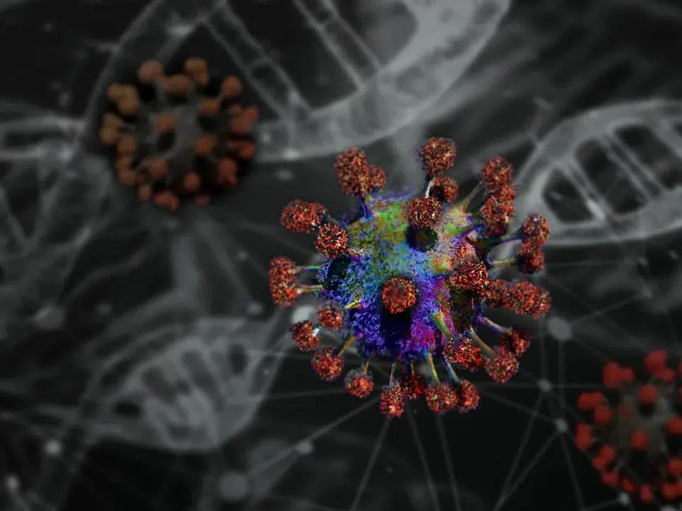 Microscopic image of a virus