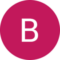 Bryce D. Avatar